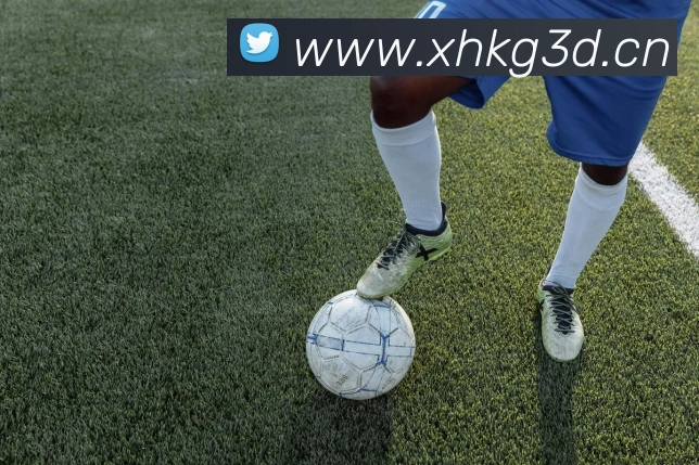 在线体育官网app平台生态图