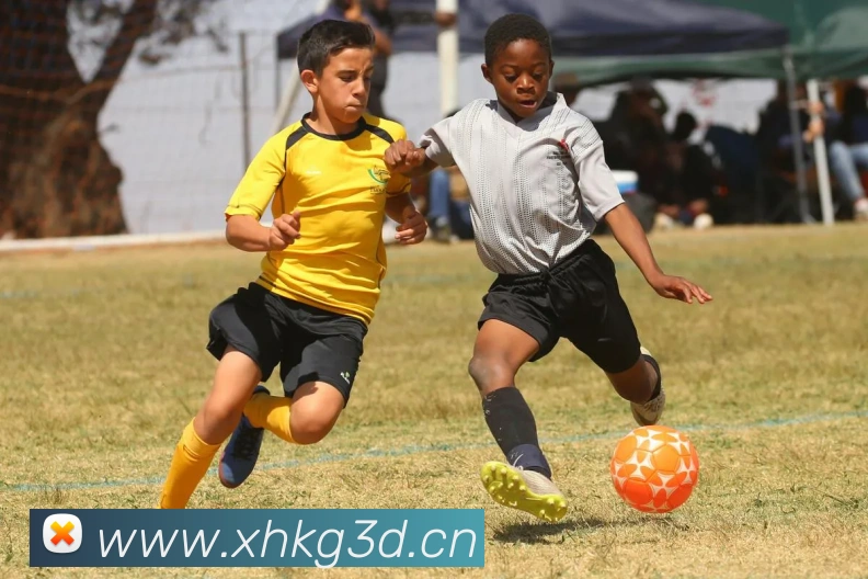 辅助工具 辅助工具